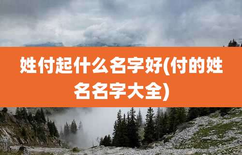 姓付起什么名字好(付的姓名名字大全)