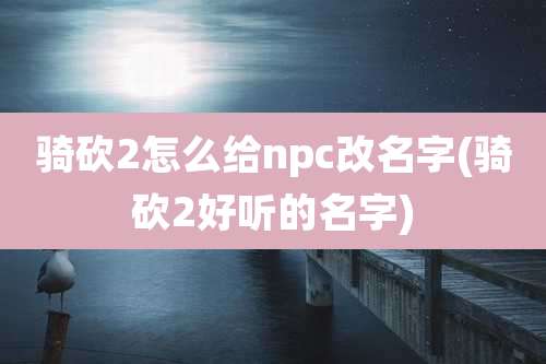 骑砍2怎么给npc改名字(骑砍2好听的名字)