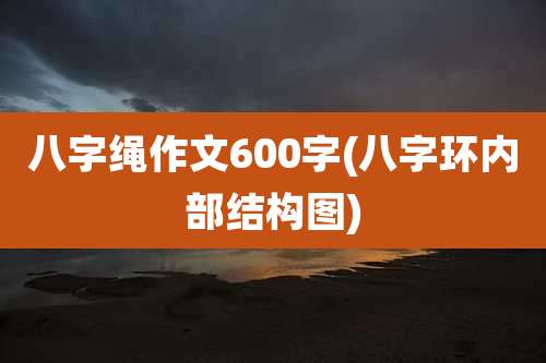 八字绳作文600字(八字环内部结构图)