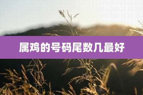 属鸡的号码尾数几最好