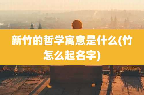 新竹的哲学寓意是什么(竹怎么起名字)