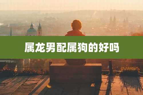 属龙男配属狗的好吗