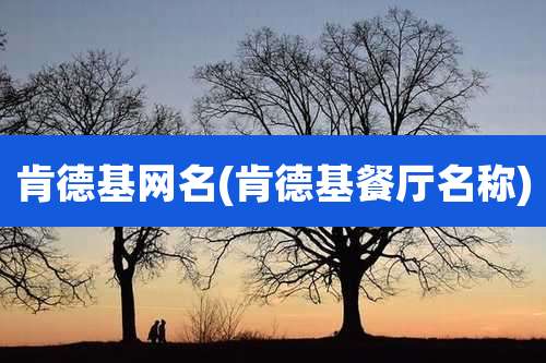 肯德基网名(肯德基餐厅名称)