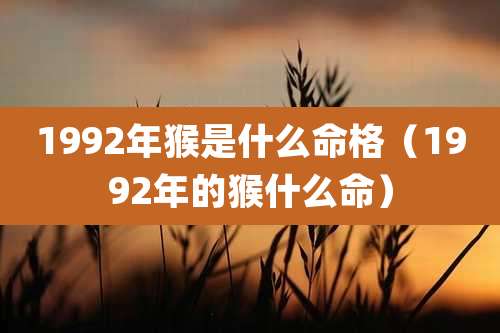1992年猴是什么命格（1992年的猴什么命）