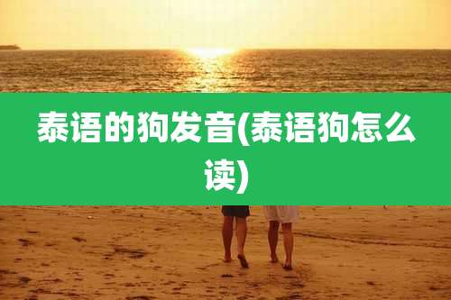 泰语的狗发音(泰语狗怎么读)