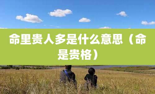 命里贵人多是什么意思（命是贵格）