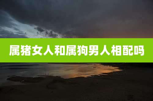 属猪女人和属狗男人相配吗