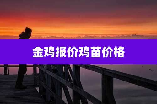 金鸡报价鸡苗价格