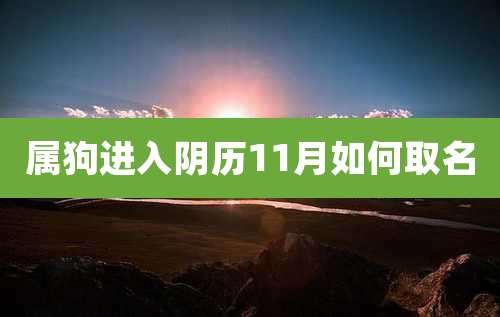 属狗进入阴历11月如何取名