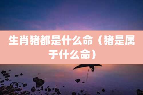 生肖猪都是什么命（猪是属于什么命）