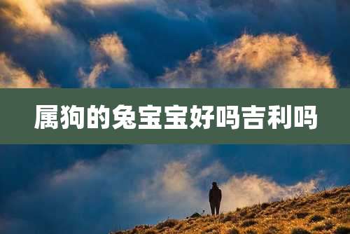属狗的兔宝宝好吗吉利吗