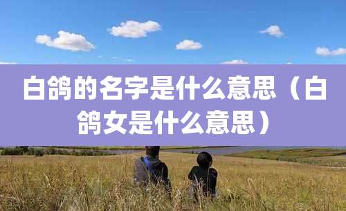 白鸽的名字是什么意思（白鸽女是什么意思）