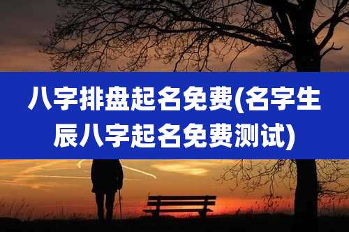 八字排盘起名免费(名字生辰八字起名免费测试)