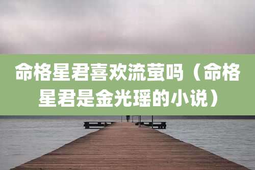命格星君喜欢流萤吗（命格星君是金光瑶的小说）