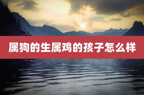 属狗的生属鸡的孩子怎么样