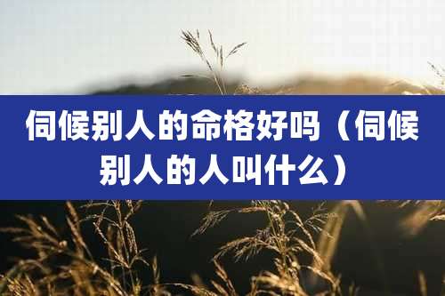 伺候别人的命格好吗（伺候别人的人叫什么）