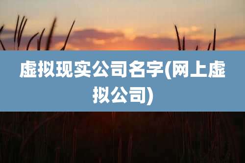 虚拟现实公司名字(网上虚拟公司)