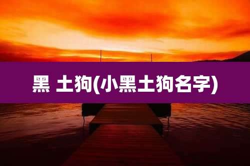 黑 土狗(小黑土狗名字)