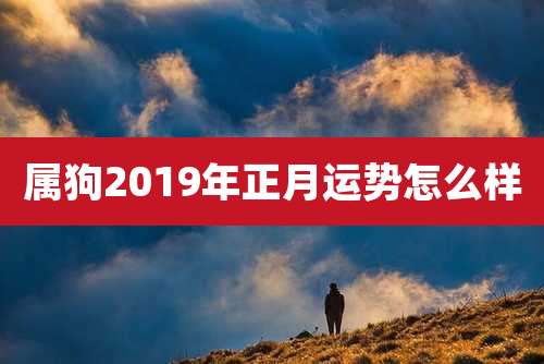 属狗2019年正月运势怎么样