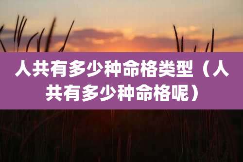 人共有多少种命格类型(人共有多少种命格呢)