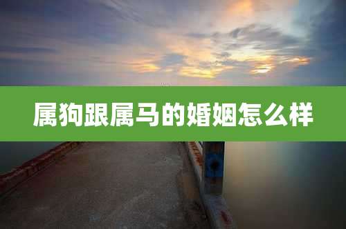 属狗跟属马的婚姻怎么样