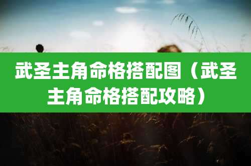 武圣主角命格搭配图（武圣主角命格搭配攻略）