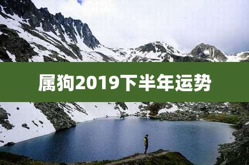 属狗2019下半年运势