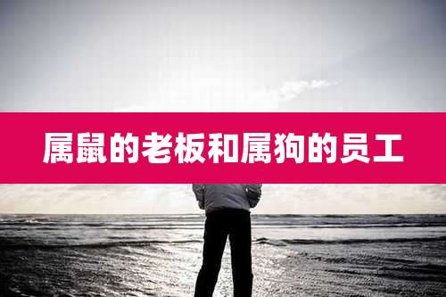属鼠的老板和属狗的员工