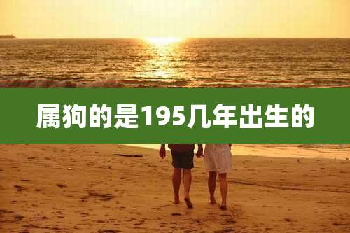 属狗的是195几年出生的