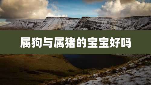 属狗与属猪的宝宝好吗