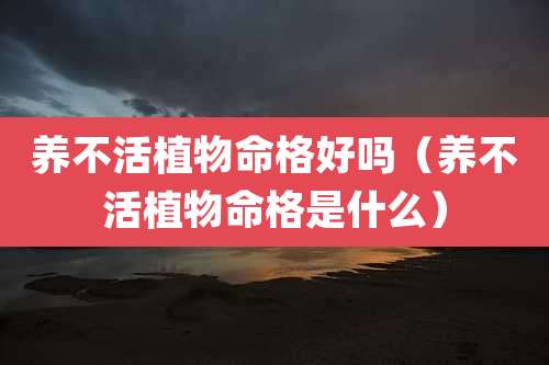 养不活植物命格好吗（养不活植物命格是什么）