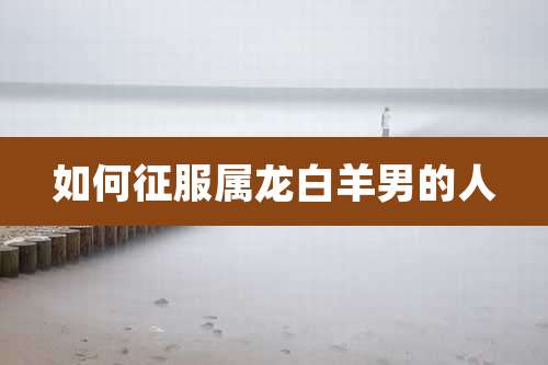 如何征服属龙白羊男的人
