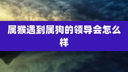 属猴遇到属狗的领导会怎么样
