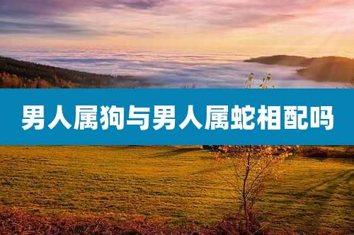 男人属狗与男人属蛇相配吗