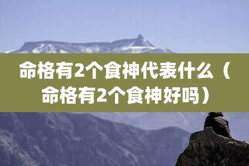 命格有2个食神代表什么（命格有2个食神好吗）