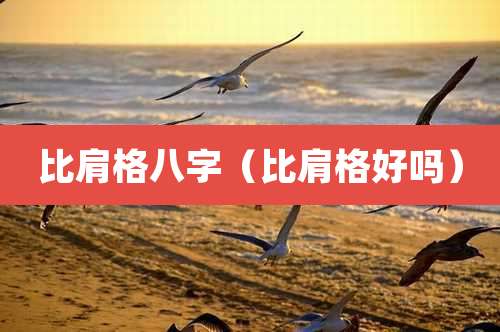 比肩格八字（比肩格好吗）