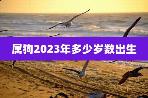 属狗2023年多少岁数出生