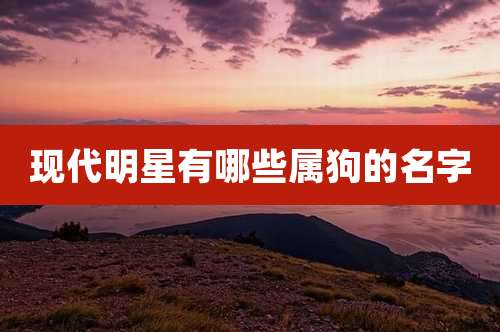 现代明星有哪些属狗的名字