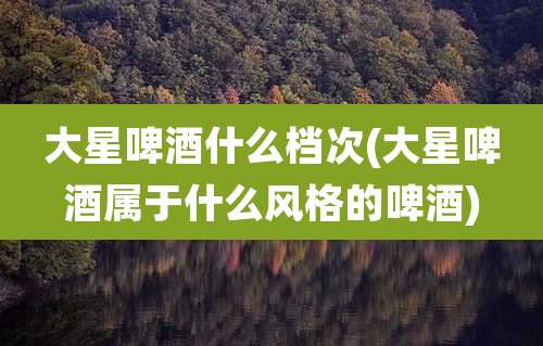 大星啤酒什么档次(大星啤酒属于什么风格的啤酒)