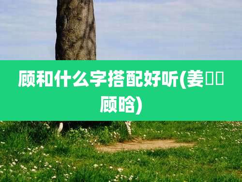 顾和什么字搭配好听(姜芃芃顾晗)