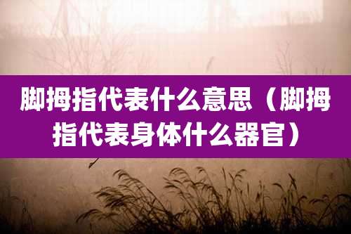 脚拇指代表什么意思（脚拇指代表身体什么器官）