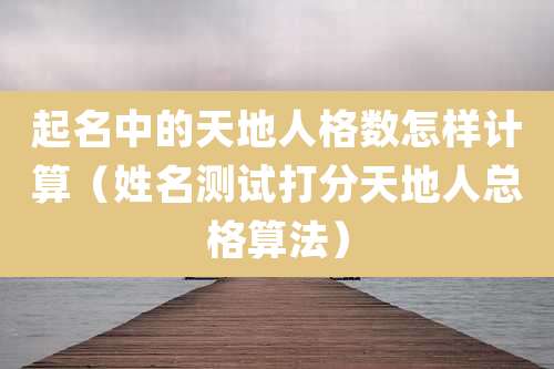 起名中的天地人格数怎样计算（姓名测试打分天地人总格算法）