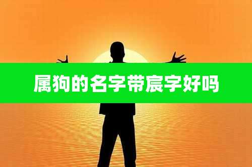 属狗的名字带宸字好吗