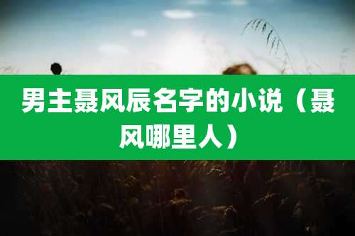 男主聂风辰名字的小说(聂风哪里人)