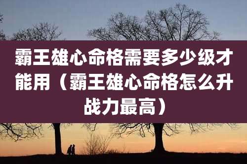 霸王雄心命格需要多少级才能用（霸王雄心命格怎么升战力最高）