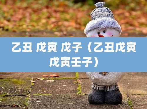 乙丑 戊寅 戊子（乙丑戊寅戊寅壬子）