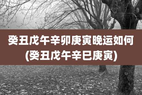 癸丑戊午辛卯庚寅晚运如何(癸丑戊午辛巳庚寅)
