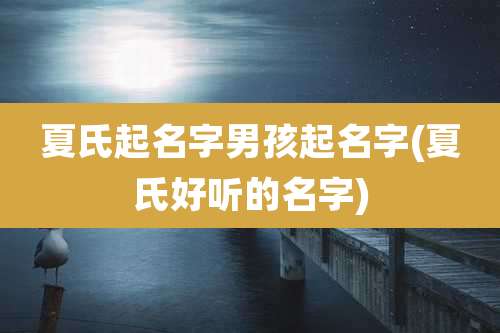 夏氏起名字男孩起名字(夏氏好听的名字)