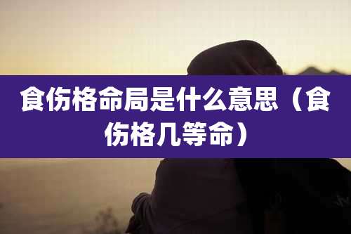 食伤格命局是什么意思(食伤格几等命)