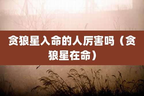 贪狼星入命的人厉害吗（贪狼星在命）